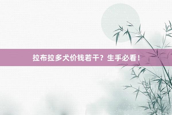 拉布拉多犬价钱若干？生手必看！