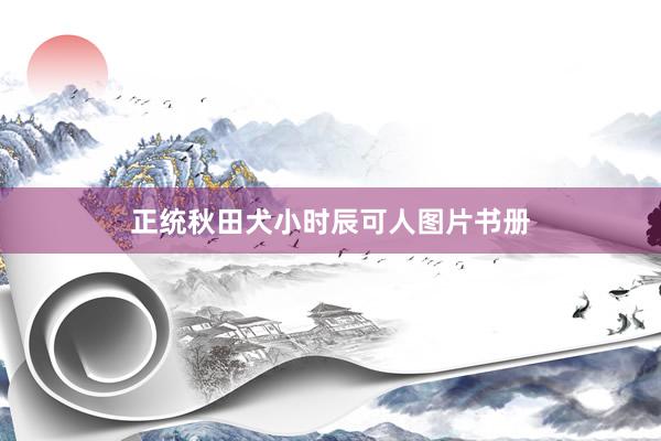 正统秋田犬小时辰可人图片书册