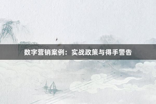 数字营销案例：实战政策与得手警告